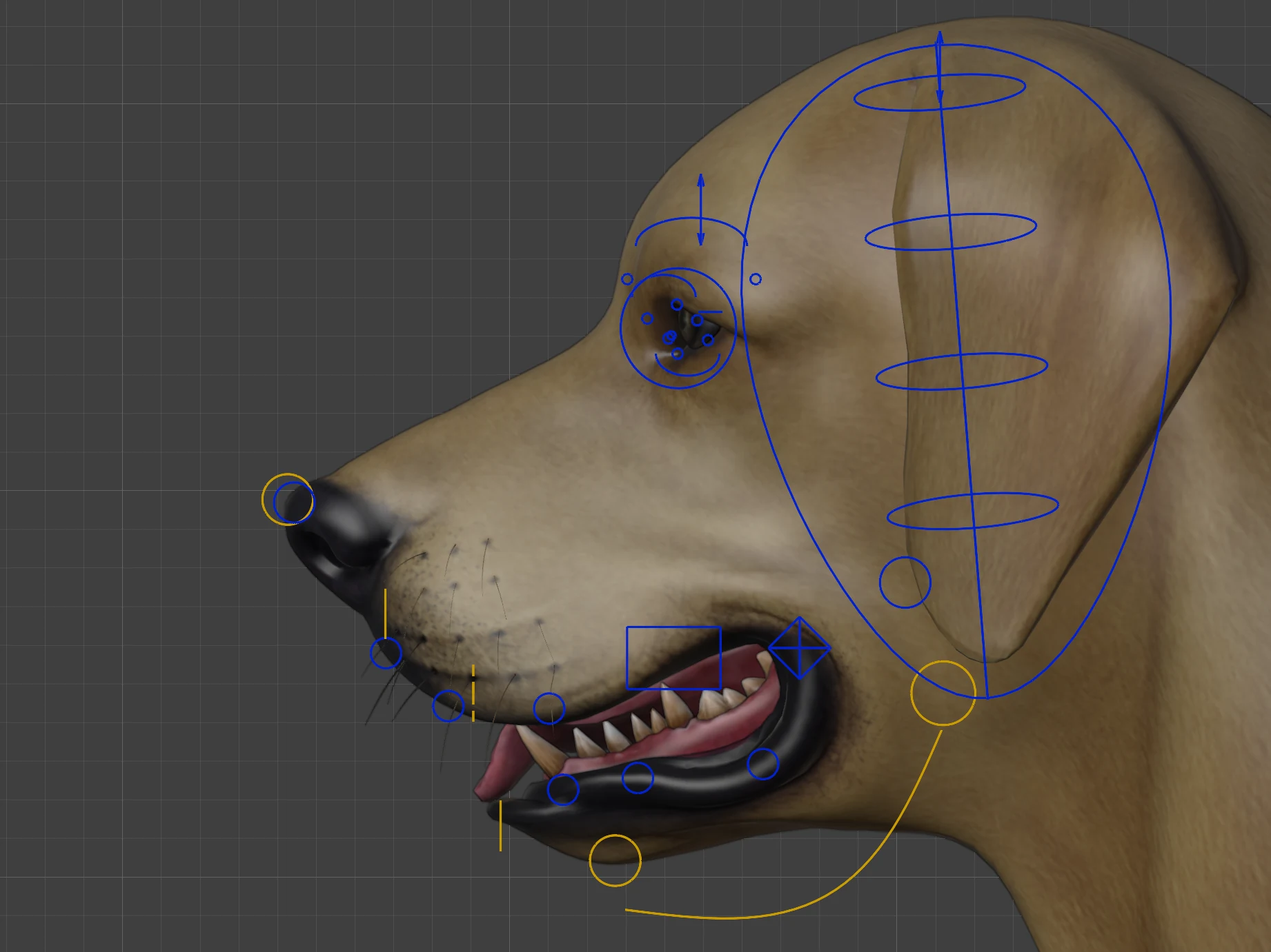 The dog's head from the side with the face controls.