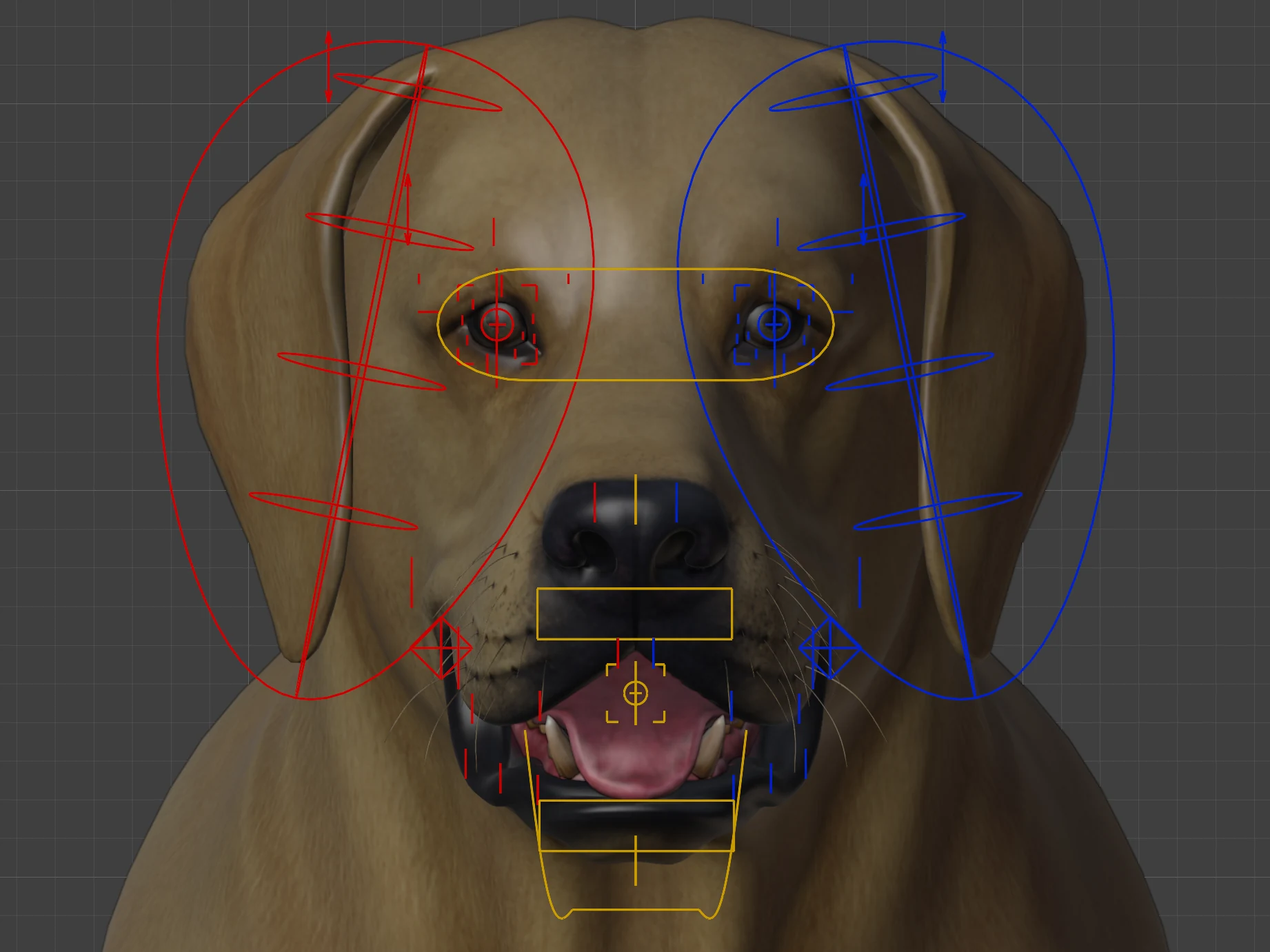 The dog's head from the front with the face controls: a ring round each eye area, an eye aim bar, a nose control and jaw controls under the mouth.