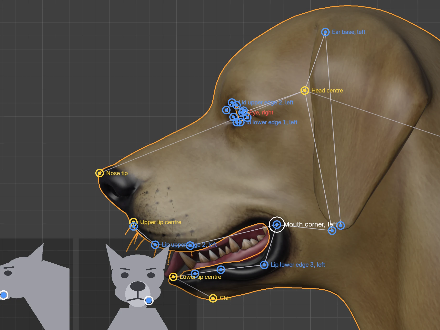 The dog's head from the side with the face marks and their names.