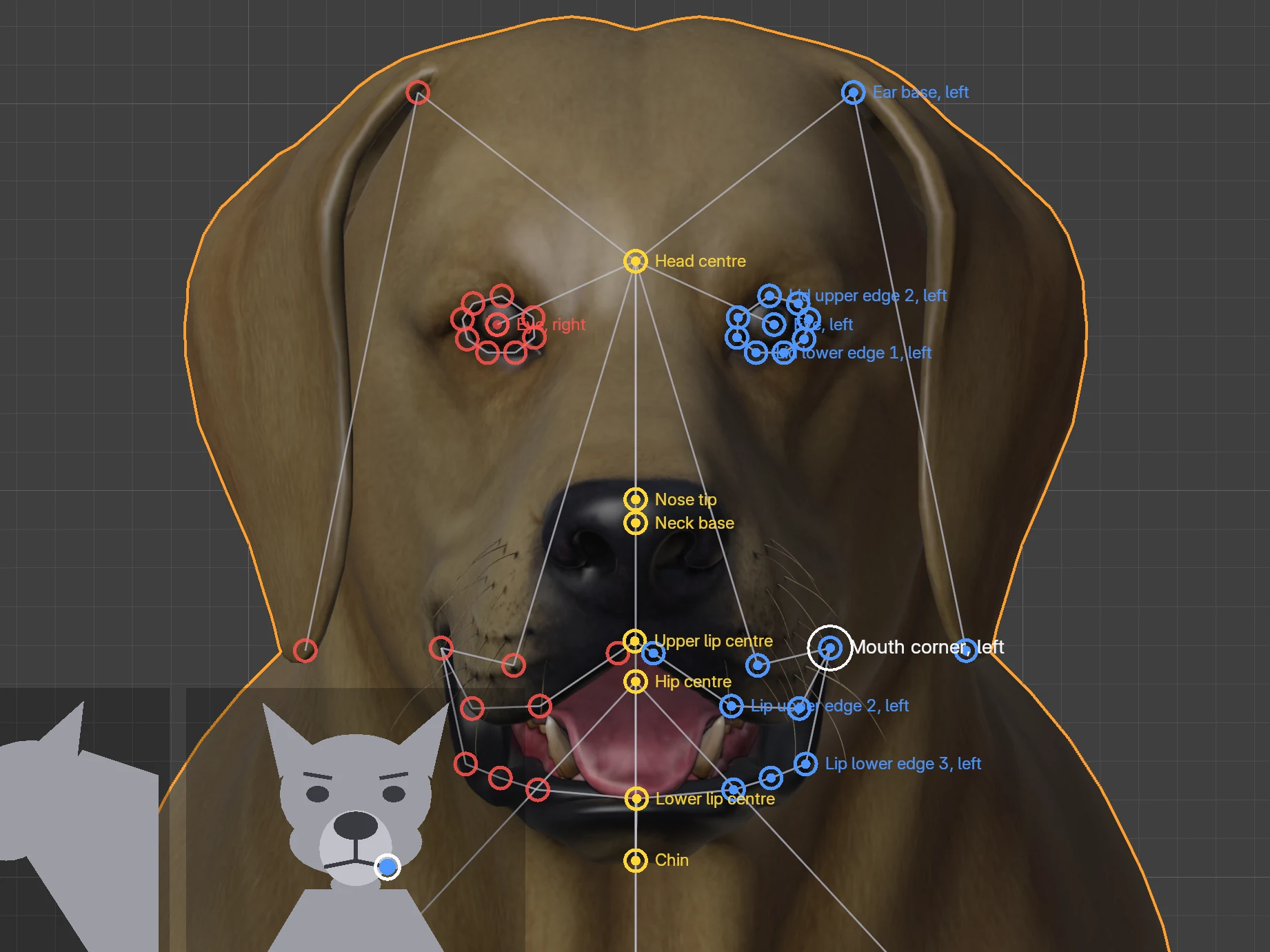 The dog's head from the front, with blue and red rings on the eyes, ears, brows, mouth corners and along the lips.
