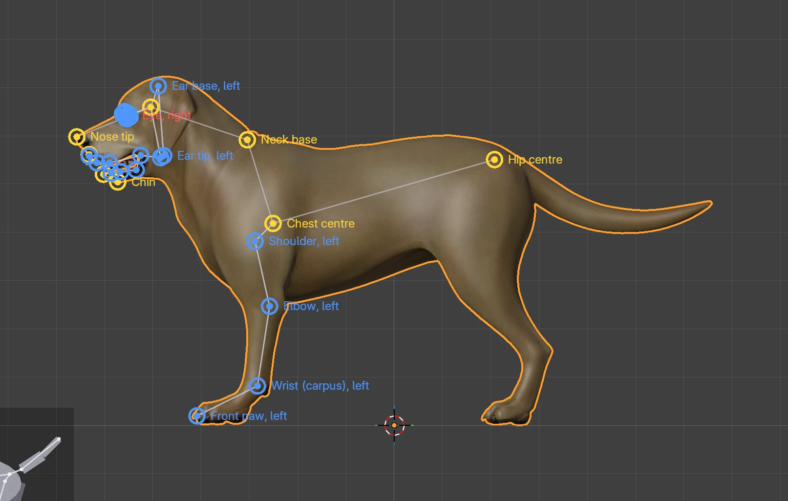 The dog from its left side, with coloured dots on the joints placed so far.